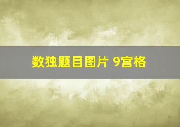 数独题目图片 9宫格